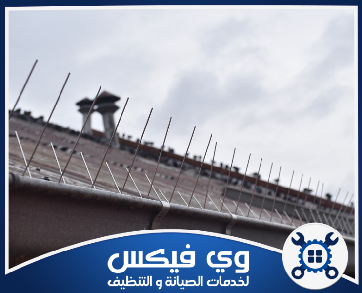 شركة تركيب طارد الحمام بحفر الباطن