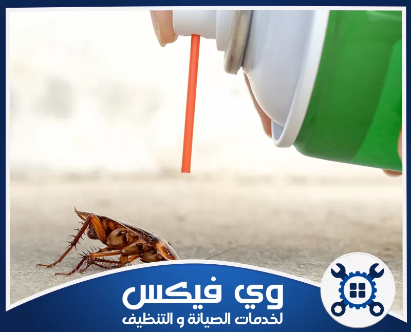 مكافحة الصراصير في المطاعم بحفر الباطن 0544909308 شركة وي فيكس صرصور على الأرض بجانب عبوة رش مبيدات أثناء مكافحة الحشرات داخل الموقع بدقة عالية جدا