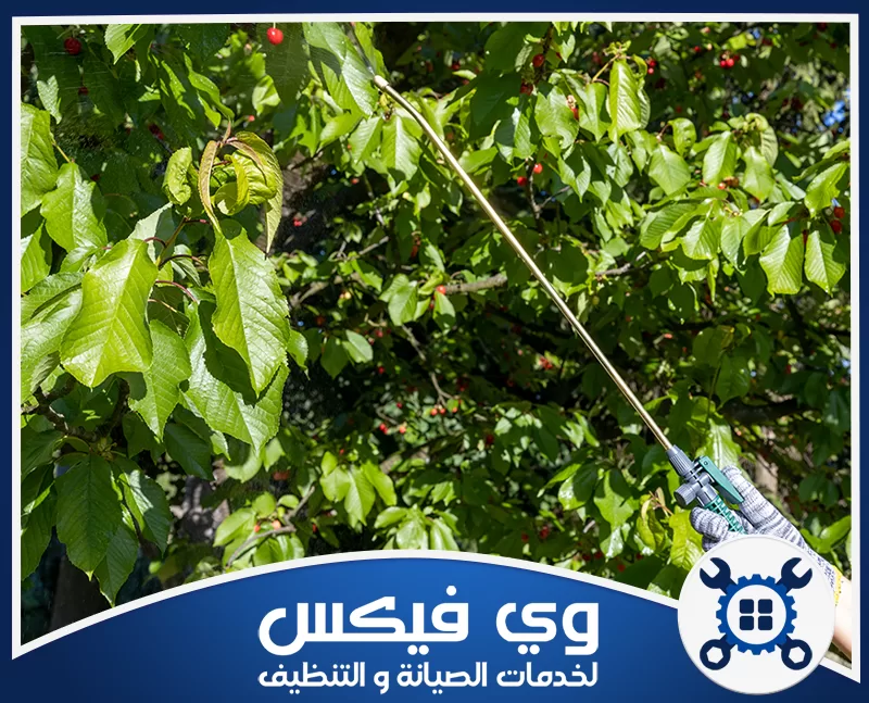 مكافحة حشرات بحفر الباطن 0544909308 شركة وي فيكس رش دقيق ومبيدات آمنة لحماية أشجارك من الآفات مع وي فيكس.