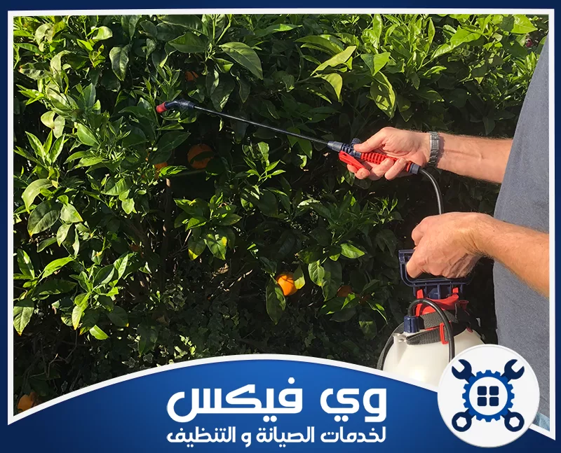 شركة رش حشرات بحفر الباطن 0544909308 شركة وي فيكس شركة رش حشرات بحفر الباطن